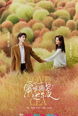 韩国私人课程海报剧照